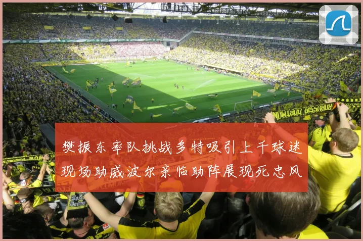 樊振东率队挑战多特吸引上千球迷现场助威波尔亲临助阵展现死忠风采