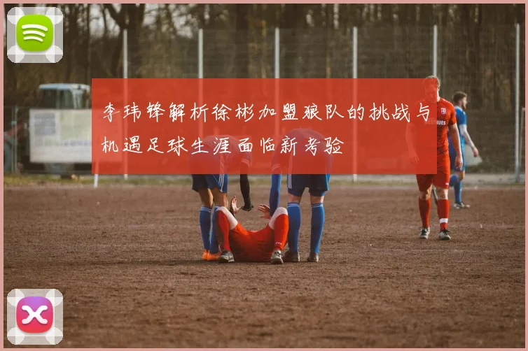 李玮锋解析徐彬加盟狼队的挑战与机遇足球生涯面临新考验